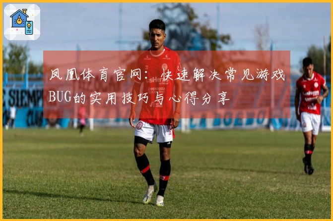 凤凰体育官网：快速解决常见游戏BUG的实用技巧与心得分享