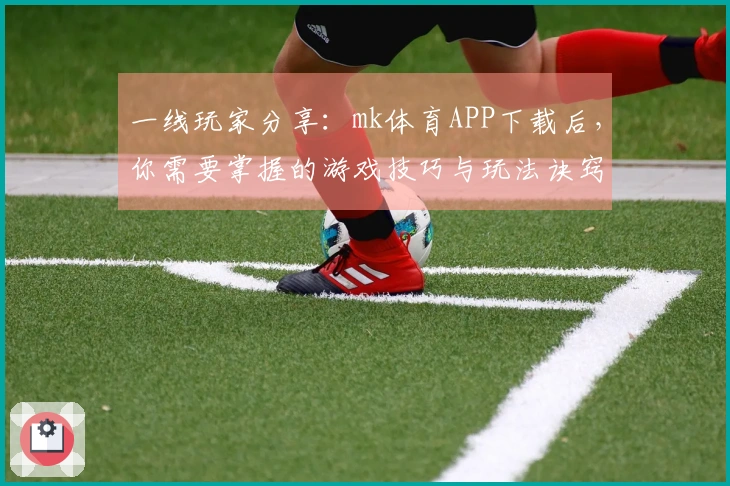 一线玩家分享：mk体育APP下载后，你需要掌握的游戏技巧与玩法诀窍