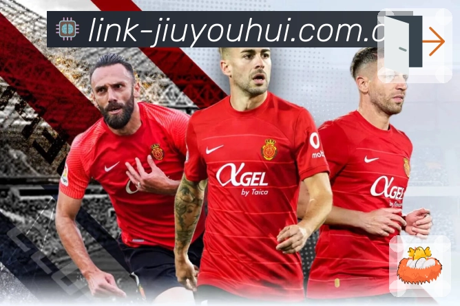 稳定入口登录器